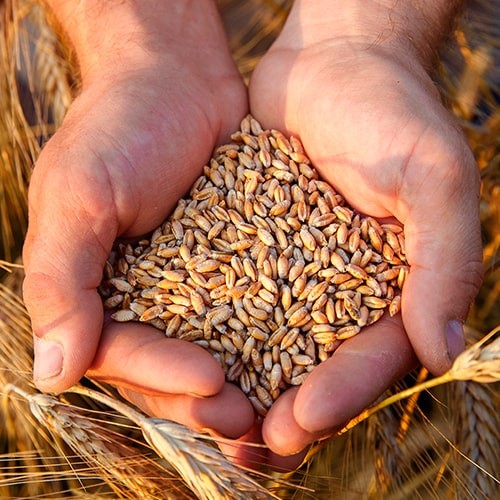 imagen artículo imagen artículo