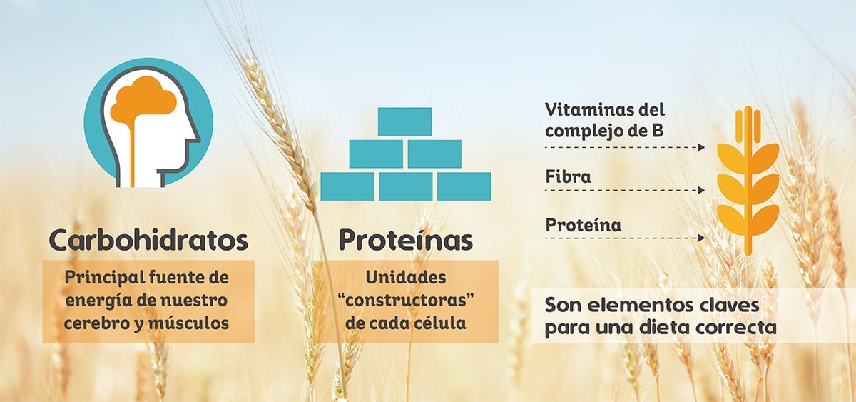 Elementos clave para una dieta correcta Elementos clave para una dieta correcta