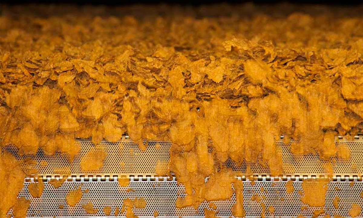 Proceso del cereal Proceso del cereal