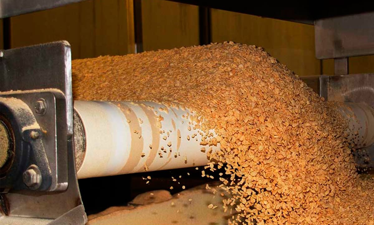 Proceso del cereal Proceso del cereal