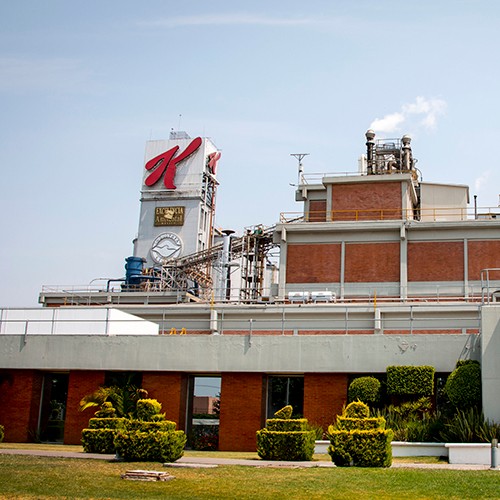 imagen artículo imagen artículo