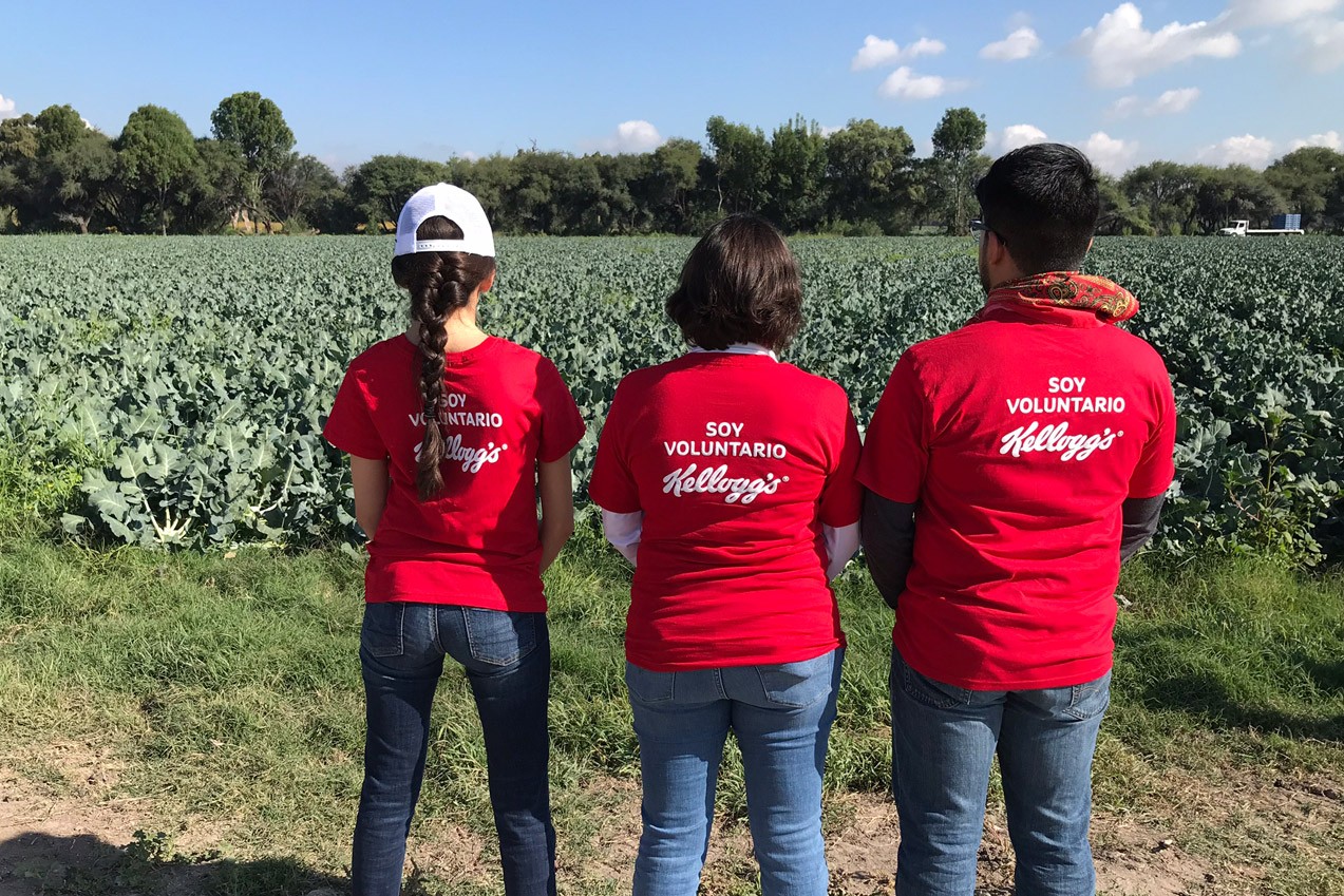 Voluntarios Kellogg's® Voluntarios Kellogg's®