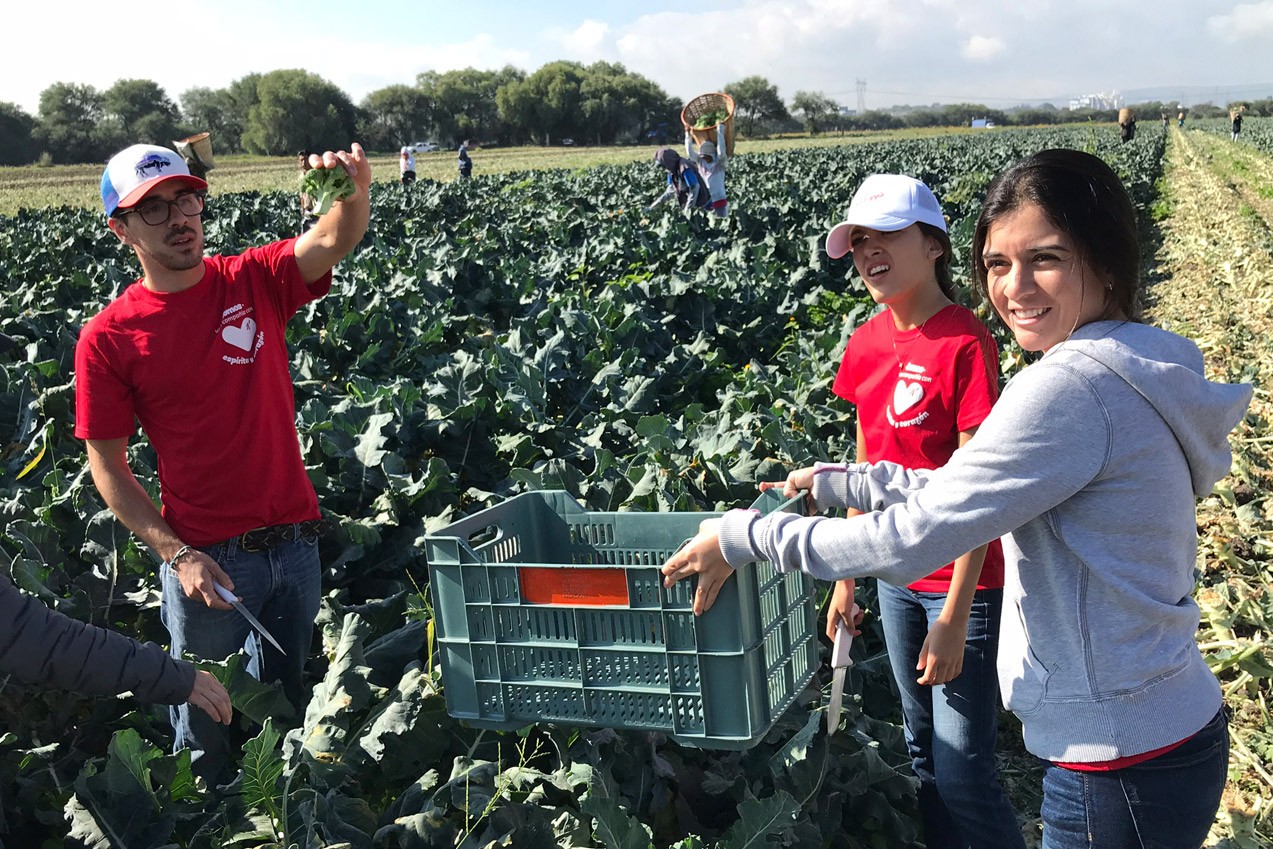 Mejores Días Kellogg® Mejores Días Kellogg®