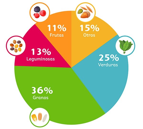 Alimentos fuente de fibra